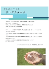 Enoki_Catalog