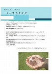 Enoki_Catalog