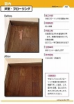 Enoki_Catalog