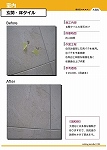 Enoki_Catalog