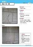 Enoki_Catalog