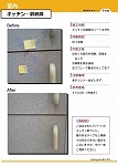 Enoki_Catalog